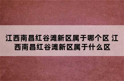 江西南昌红谷滩新区属于哪个区 江西南昌红谷滩新区属于什么区